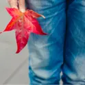 OshKosh BGosh 儿童裤装优惠 0-14岁尺码随意选 