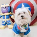Petco 漫威漫画系列宠物服饰、玩具等热卖 