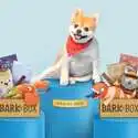Barkbox 狗狗神秘订阅礼盒 为你家汪汪准备的专属礼物盒 