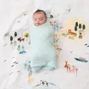 Aden+Anais官网 订单满额享优惠 众多明星及皇家青睐品质 