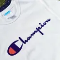 Champion 精选男女鞋服促销 $13.98起 