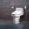 The Home Depot 精选电子坐便器、卫浴配件等一日特卖 
