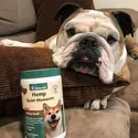 NaturVet 全场宠物保健品促销热卖 爱宠健康你来守护 