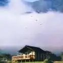 加州蒙特雷湾 Vision Quest Ranch 野生动物农场别墅 