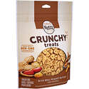 NUTRO Crunchy Dog Treats with Real Peanut Butter, 16 oz. Bag