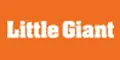 Descuento Little Giant Ladder