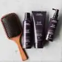 Aveda : 雅诗兰黛旗下植物洗护 全场