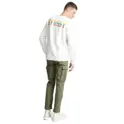 Stussy Ivy League Crew 圆领卫衣