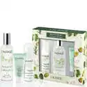 Caudalie 欧缇丽 皇后水100ml+泡沫洁面50ml+清痘哑光乳液15ml