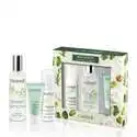Caudalie 欧缇丽皇后水三件套装 皇后水100ml+洁面泡沫50ml+控油乳液15ml