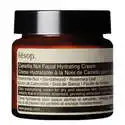 凑3瓶享6.8折！Aesop 伊索 山茶核仁滋润面霜 60ml