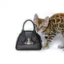 Mybag：精选 Vivienne Westwood 精美首饰土星饰品包包
