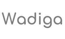 Wadiga Code Promo