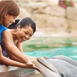 Orlando Vacation: One Day Ticket to SeaWorld Just for $129.99