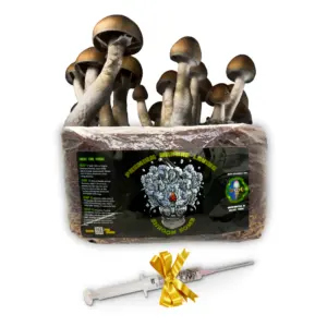 Curative Mushrooms: 10% OFF Storewide