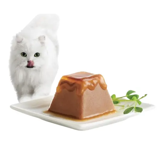 My Fancy Feast: Save 25% OFF Sitewide