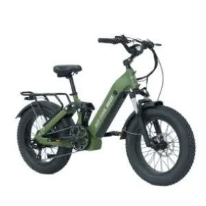 Beecool Bikes: Free Shipping on Any Order