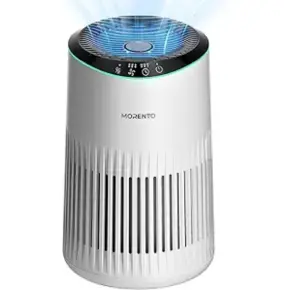 MORENTO Air Purifiers for Home