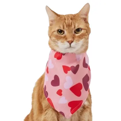 Chewy: Valentine's Day Pet Supplies Up to 25% OFF