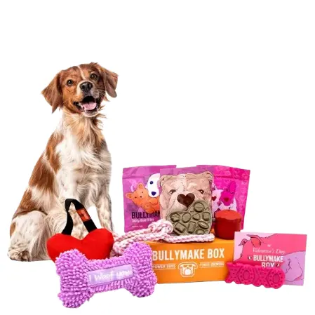 Bullymake: Get 40% OFF Your First Box