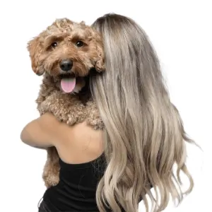 Embrace Pet Insurance: Save 10% OFF with Email Sign Up