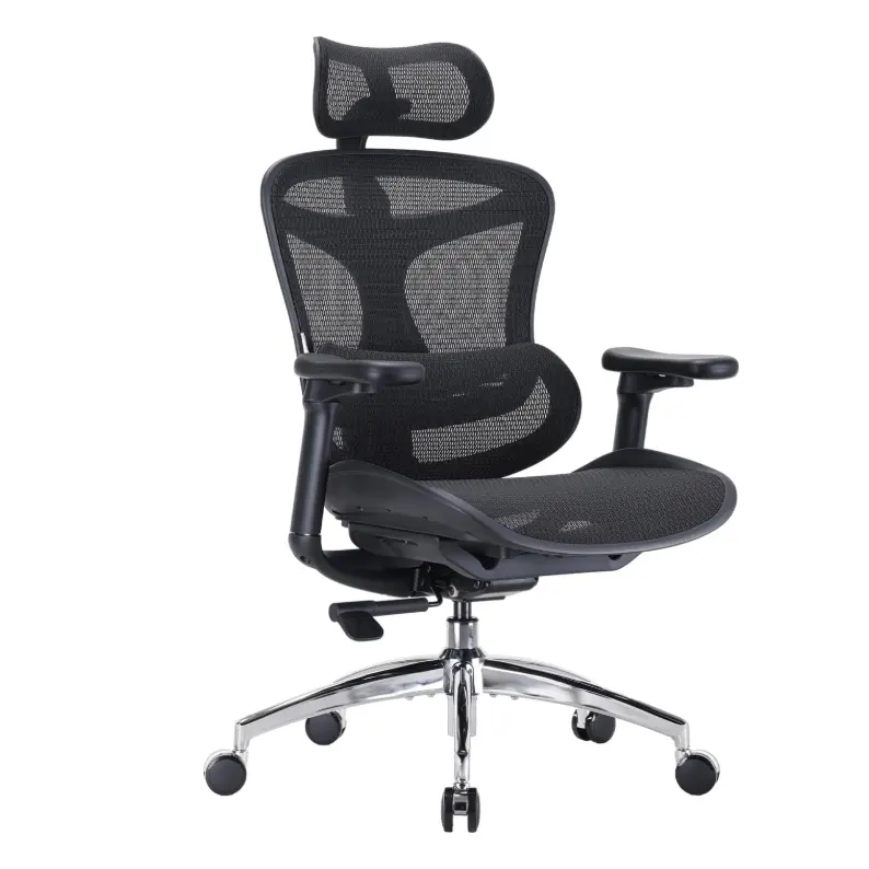 SIHOO Doro C300 人体工学办公椅