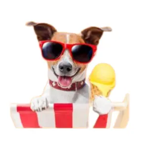 VetPrep: 180-Day Premium Subscription Extended to the End of the Year