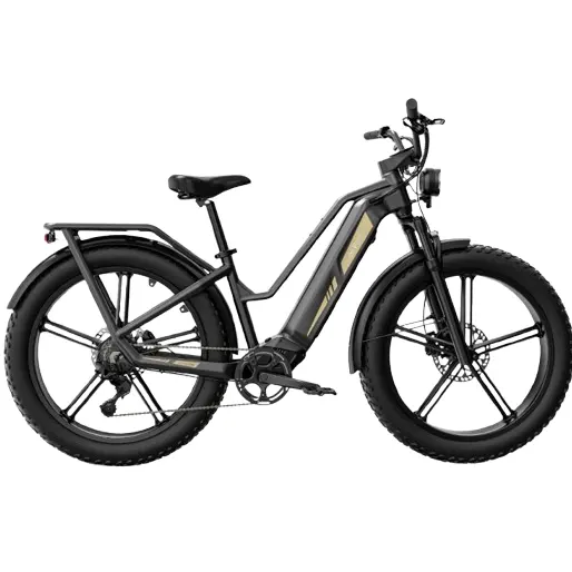 fiido: Electric Bikes Sale Up to 50% OFF