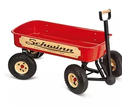 Schwinn 四轮转向旅行车