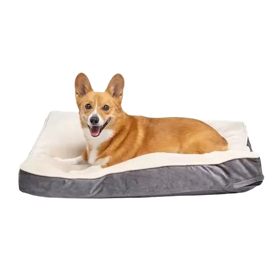 Petco: Up to 50% OFF Select Beds & Bowls
