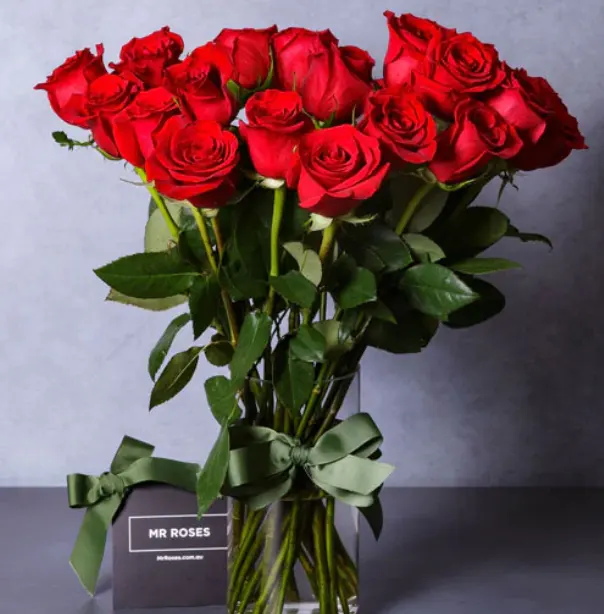 Medium Stemmed Red Roses