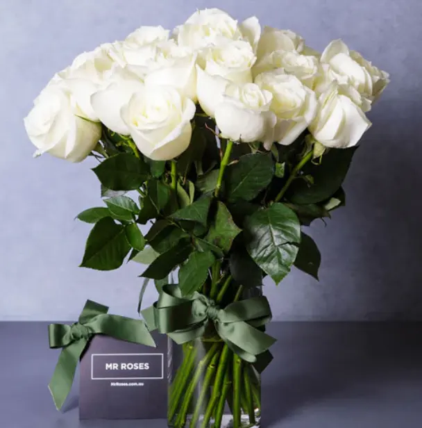 Medium Stemmed White Cream Roses