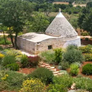 Plum Guide: Receive 25% OFF Booking