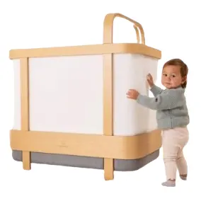 Cradlewise: Convertible Smart Bassinet and Crib Up to $450 OFF