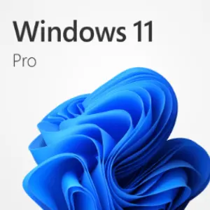 Windows 11 Pro 操作系统