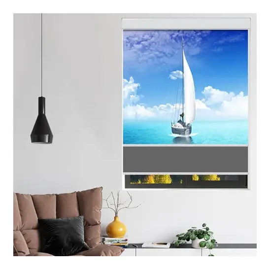 Zshine Day and Night Dual Layers Manual Roller Shades
