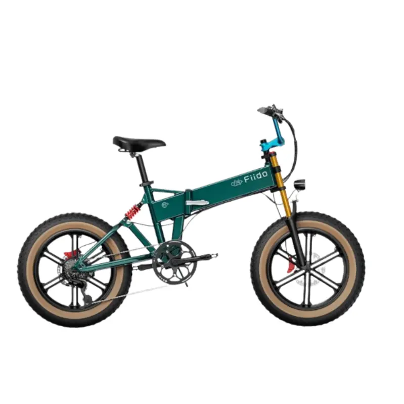 Fiido M1 Pro 加厚轮胎电动自行车