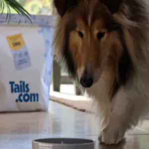 Tails.com UK：首次订购享4折续盒加享7折优惠