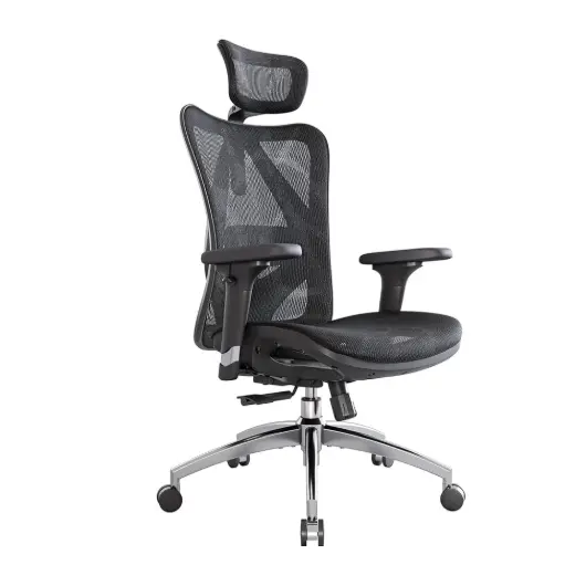 SIHOO M57 带调节扶手和腰部支撑人体工学办公椅