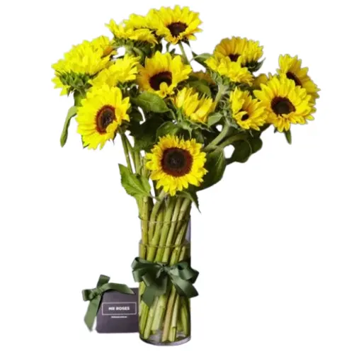 Mr Roses AU: Subscribe & Get $10 OFF