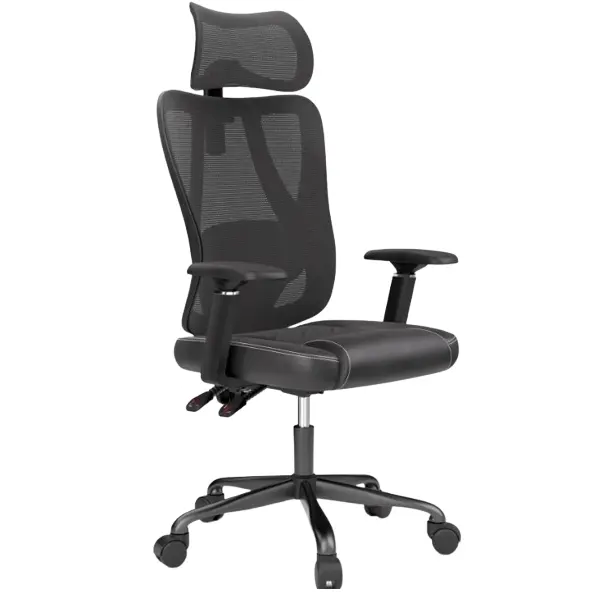 ACGAM Ergonomic High Back Chair