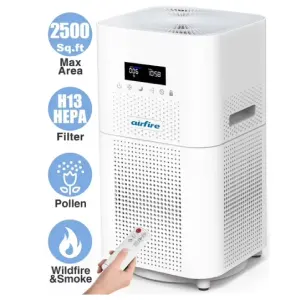 Walmart：AIRFIRE HEPA 空气净化器立享5.8折