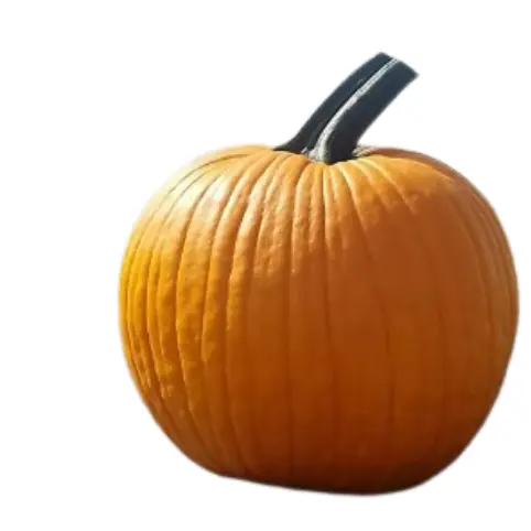 Tractor Supply Company：圣诞装饰等商品低至6折