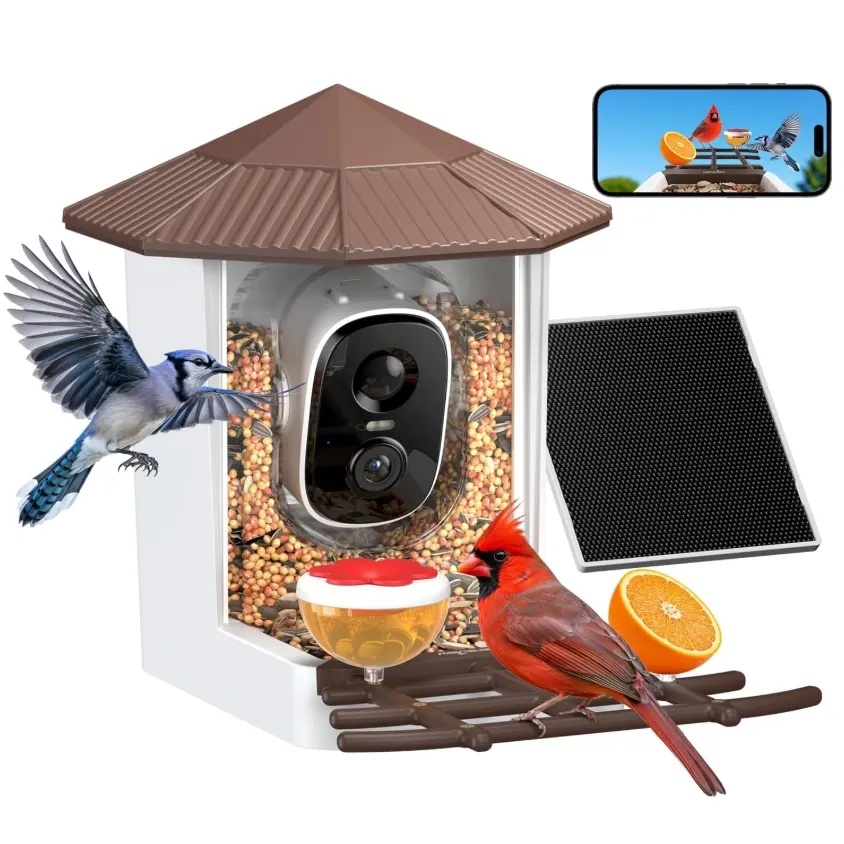 Wansview Solar Powered Smart Bird Feeders with Camera
