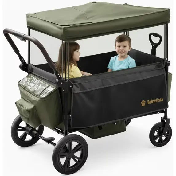 BabyVista 双人遮阳篷手推车