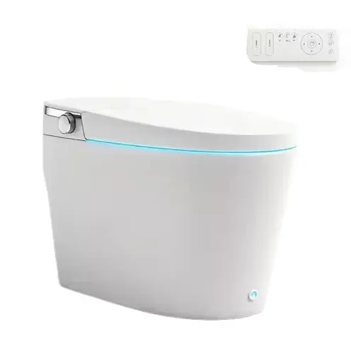 DEERVALLEY 可遥控智能加热马桶