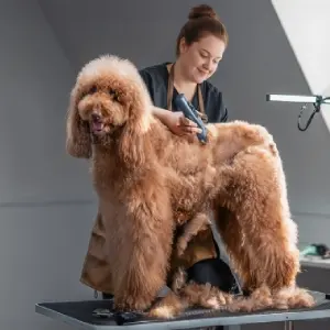 Oneisall Cordless Professional Dog Grooming Clippers Upgrade