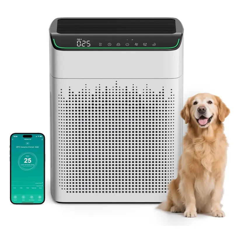 FLANUR 家用大房间空气净化器