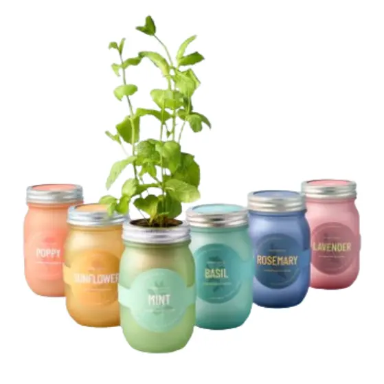 Modern Sprout: Sale Items Get up to 75% OFF