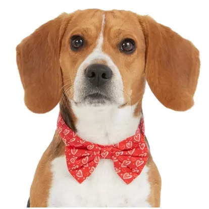 Chewy: Up to 50% OFF Frisco Valentine's Day Items